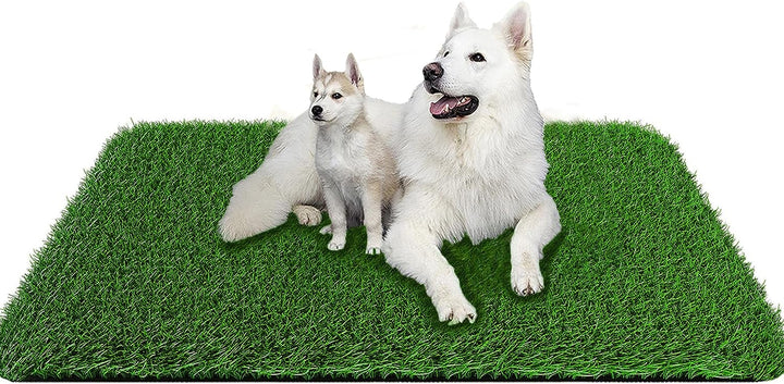 Grass Pad for Dogs 39.3 X 31.5 Inches Strong Absorbency Soft Artificial Grass for Pets Potty Training, Easy to Clean Fake Grass for Dog Indoor Outdoor Use(1 Pack)