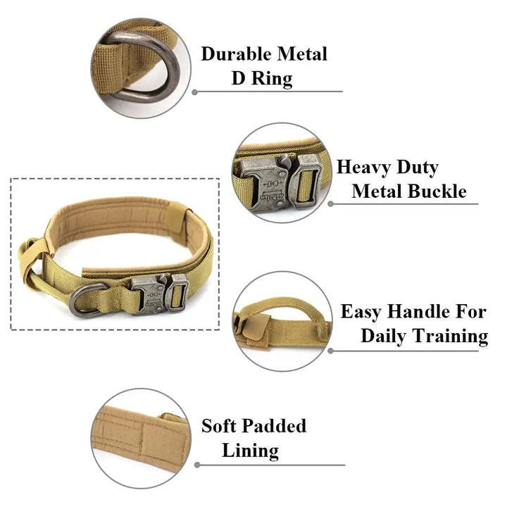 Collar For Dogs