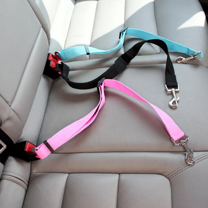 Seatbelt Secured Car Leash